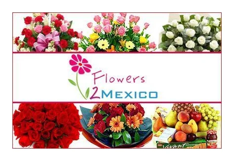flowers2mexico logo