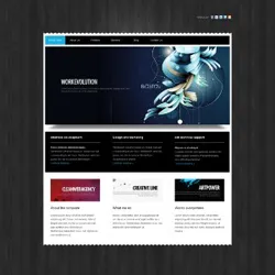 Edge Design photo 3