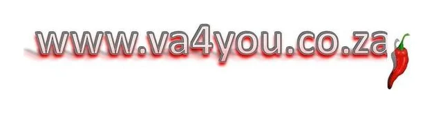 Personal Virtual Assistant for You logo