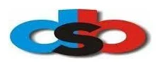 DBS Express Courier Service logo