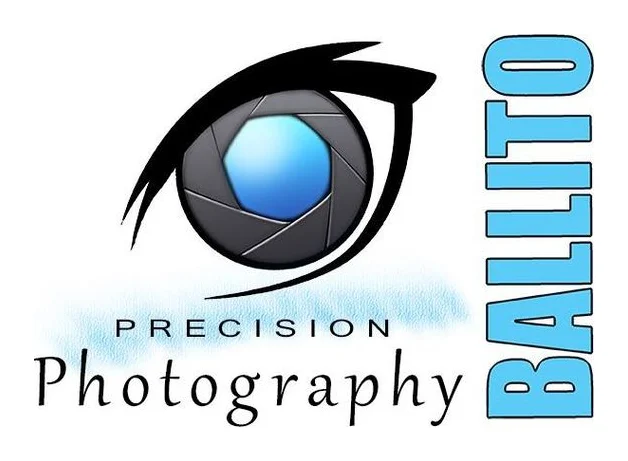 Precsion Photography Ballito logo