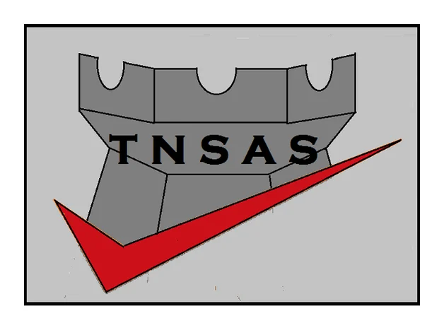 Trans National Security Advisory Services logo