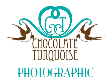 Chocolate Turquoise Photographic logo