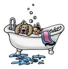 Pets Grooming with a differnce logo