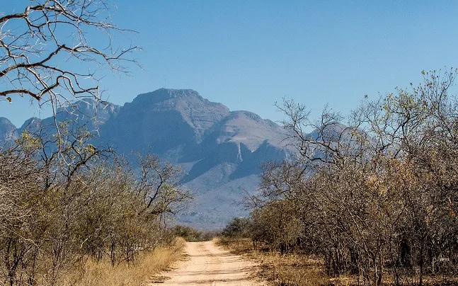 Bloubank Tented Safaris photo 1
