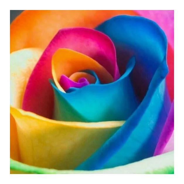 BLOOMS&Co. Florist logo