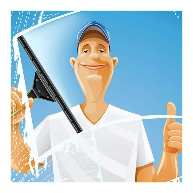 BRILLIANT WINDOW CLEANERS PTY LTD logo