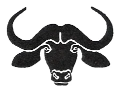 Inyatsi Construction Limited logo