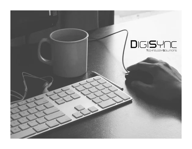 Digisync Technology Solutions logo