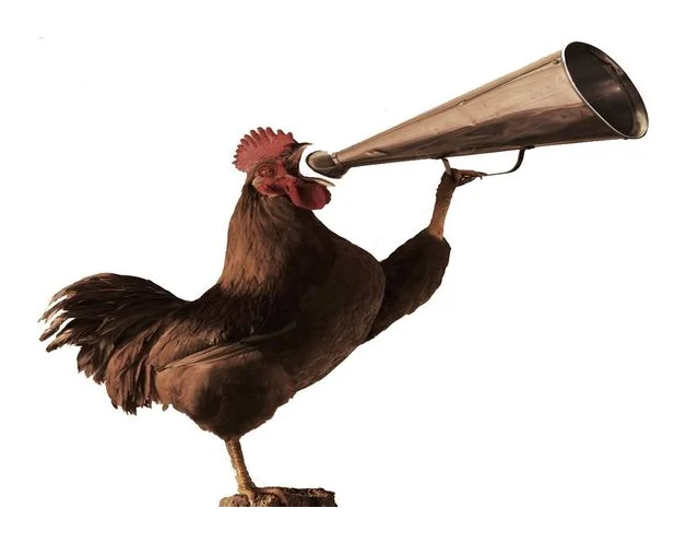 Auction Rooster logo