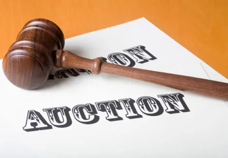 Auction Rooster photo 3