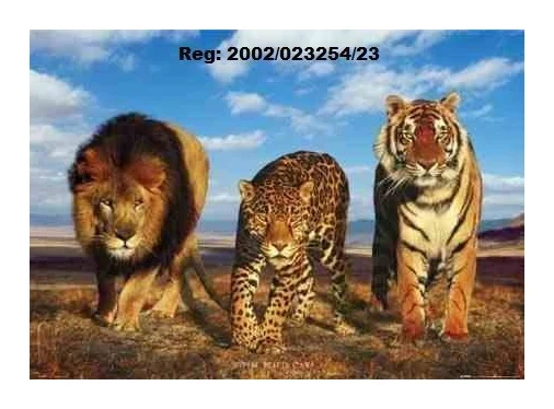 CATZ SECURITY logo