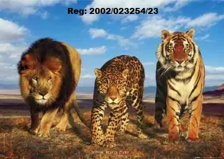 CATZ SECURITY photo 1