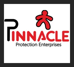 Pinnacle Protection Enterprises logo