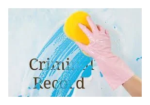 Expunge Your Record logo