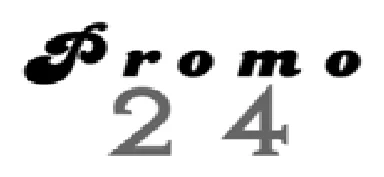 Promo24 logo