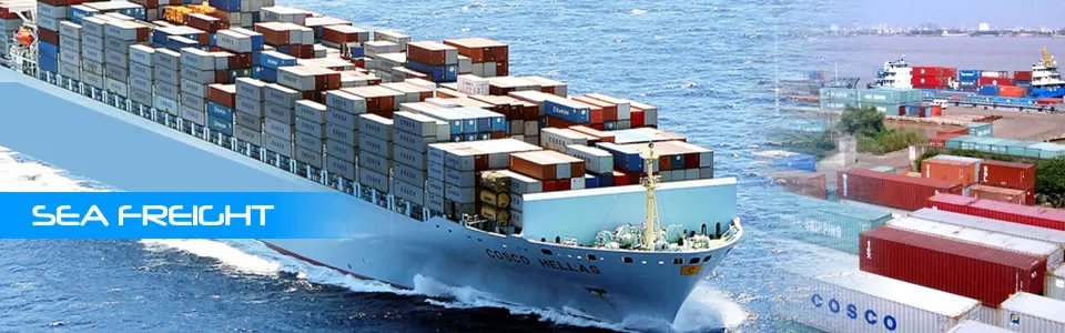 CARGOSTAR FREIGHT photo 3