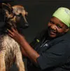 Dandy Dogs Mobile Dog Grooming photo 1