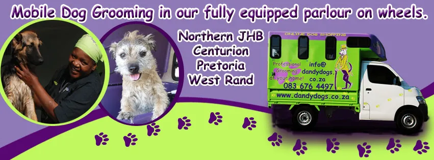 Dandy Dogs Mobile Dog Grooming photo 2