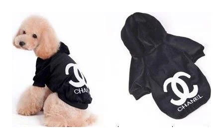 Bumble Bee Dog Clothing logo