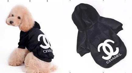 Bumble Bee Dog Clothing photo 1