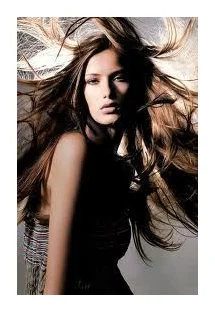 Virgin Hair Extensions Shop logo