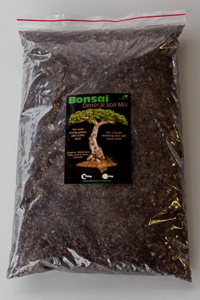 Bonsai Tree photo 3