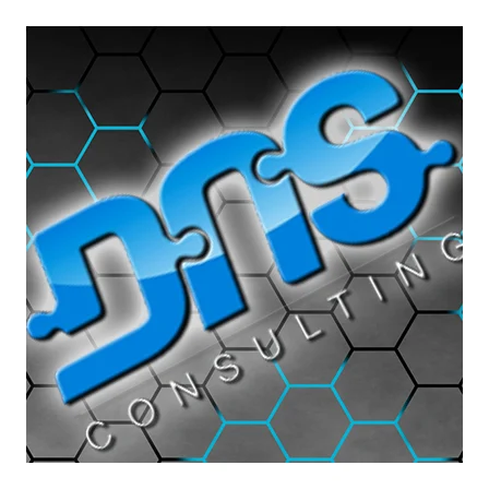 DNS Consulting - Website and Graphic Design Pietermaritzburg, Natal Midlands and Durban logo