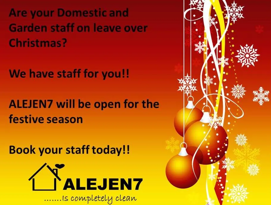 ALEJEN7 Cleaning Services photo 1