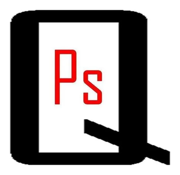 PSQ CONSULTANT ( Business & Management consultant) logo