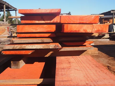 African Exotic Timber photo 2