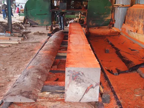 African Exotic Timber photo 3