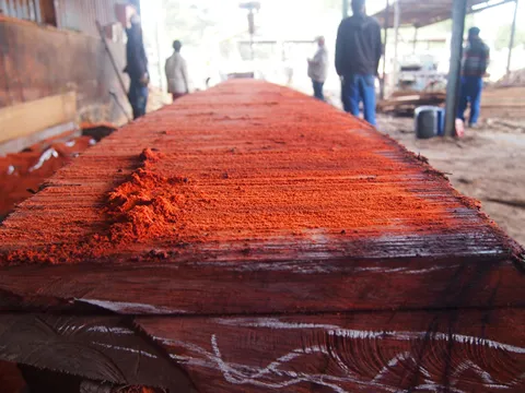 African Exotic Timber photo 4