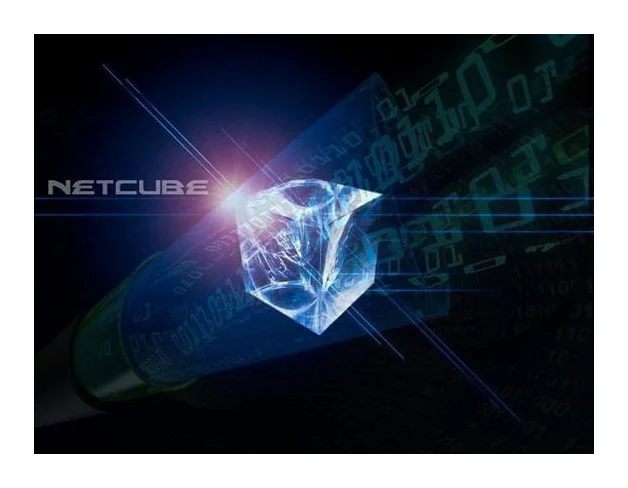 Netcube Inter (Pty) Ltd. logo