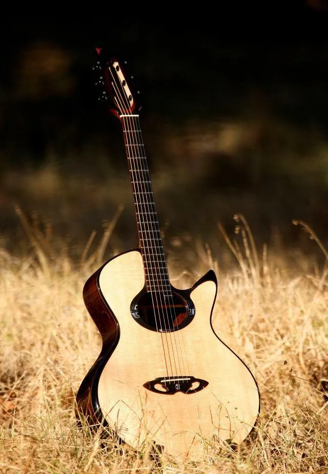 Casimi Guitars photo 2