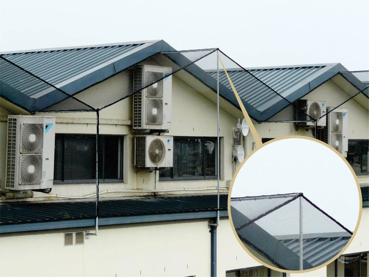 Bird Deterrent Specialists photo 1