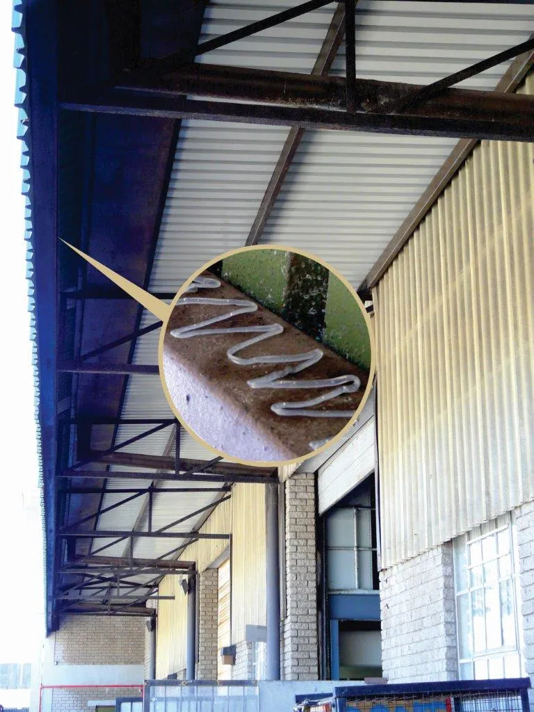 Bird Deterrent Specialists photo 2