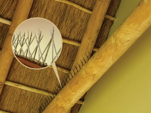 Bird Deterrent Specialists photo 4