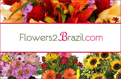 Flowers2Brazil photo 1