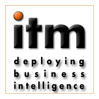 ITM Website Design logo