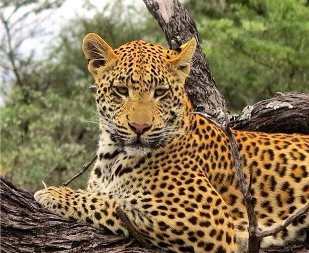 African Venture Tours photo 1