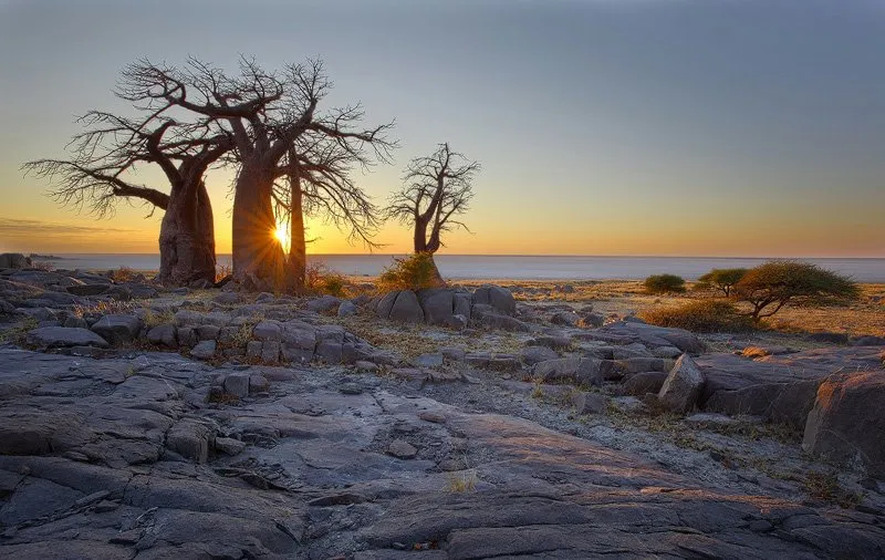 African Venture Tours photo 4
