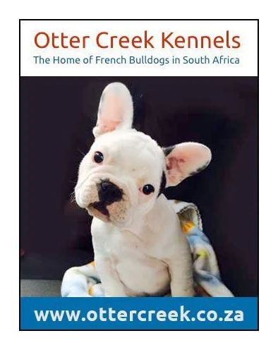 French Bulldog Puppies logo