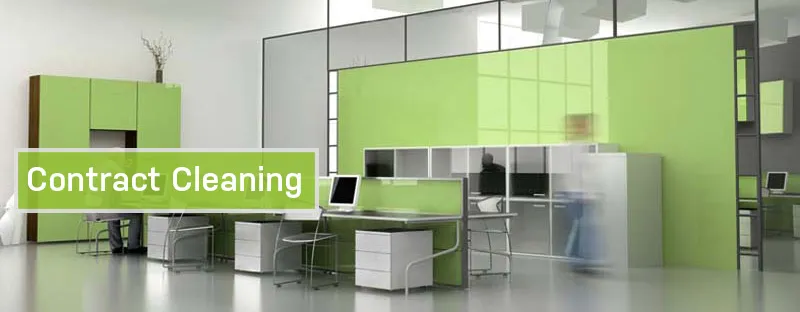 Dynamic Cleaning Services photo 3