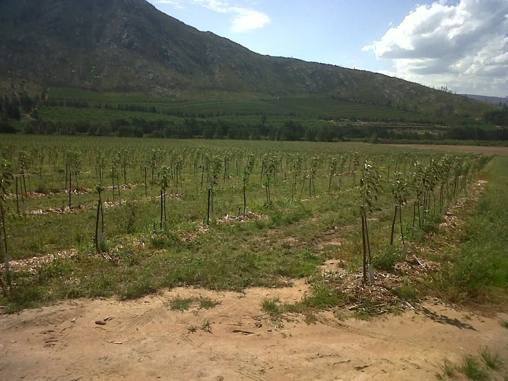 Eastern Cape Pivot Services photo 1