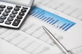 Andisa CA (SA) Accounting and Business Consulting photo 1