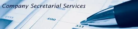 Andisa CA (SA) Accounting and Business Consulting photo 3