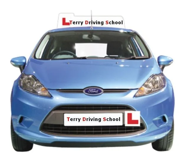 Terry Driving School logo