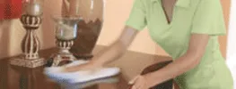 Advance Cleaning Solution photo 4