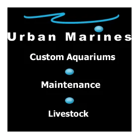 Urban Marines logo